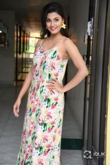 Anisha Ambrose At Fashion Designer Movie Success Meet